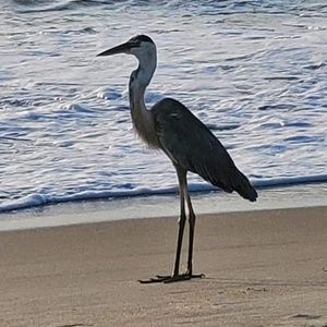 Meet your Posher, Hollyanne